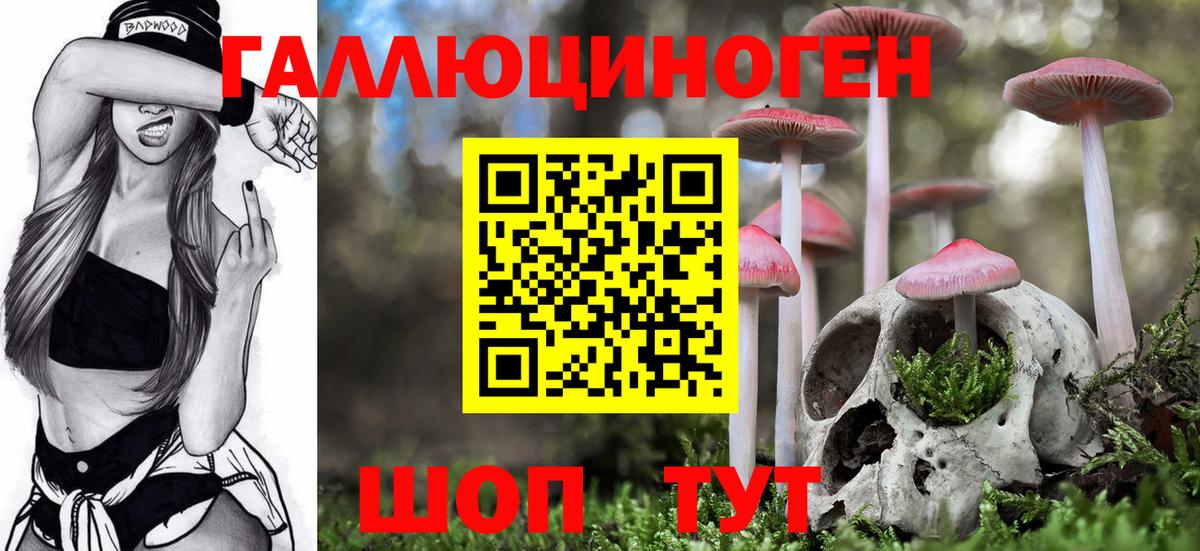 Галлюциногенные грибы Cubensis Чапаевск
