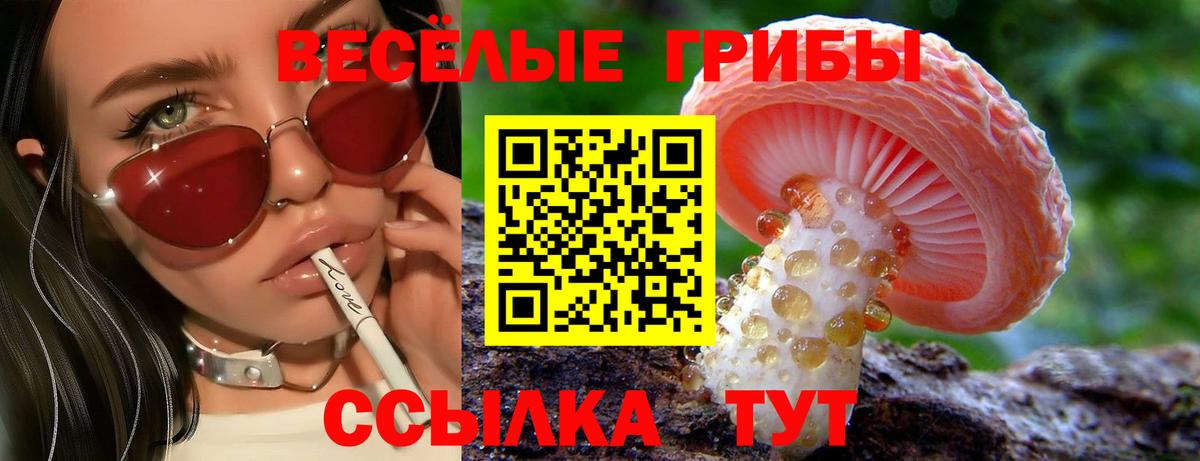 Чапаевск  Галлюциногенные грибы MAGIC MUSHROOMS  Вход с VPN 